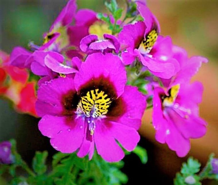 ���������: ��� �������� ��� ������� ������ ������� ��������