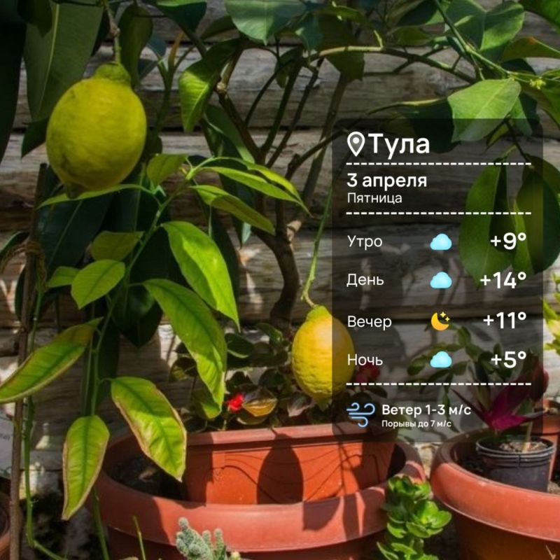 ������ ����. ������� ��������� ��� �������