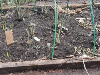 �������� ����: ��� �������� ������ ��������� ���� ��� ������������� ��������