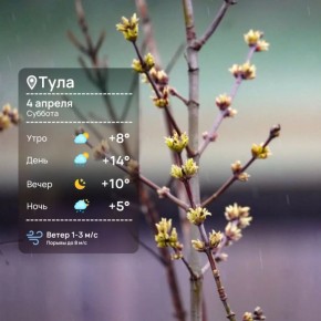 Доброе утро. Отличных вам выходных!