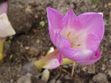 ������� �����: ����� ������� ����� ��������� ������ ��������