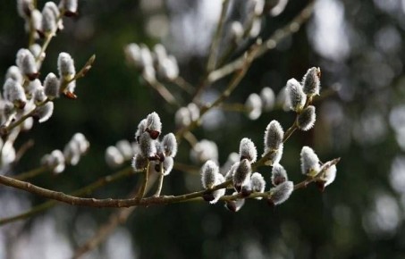 ������ �� 5 ������. ����� ��������: 05:53