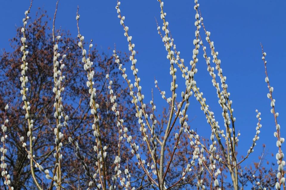 ���� ��������: � ������� ������������, ������!