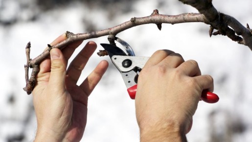 ������ ������� � ����: ��� �� �������� ������ � ���������� �����