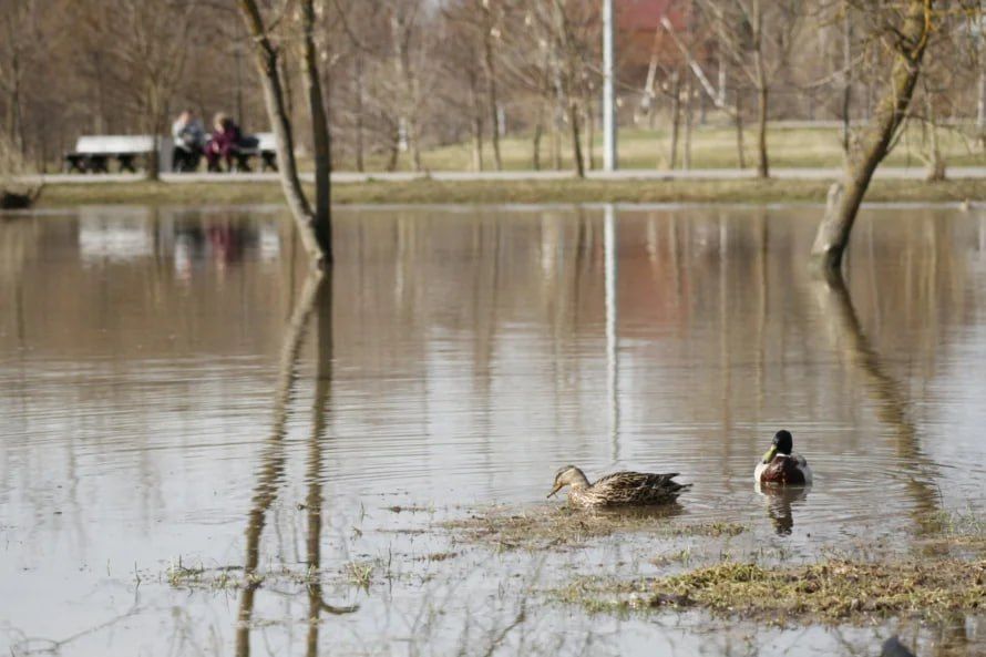 ������� ������ ������ ����, ������ ����������� ���� ���������� ������������� �� ����