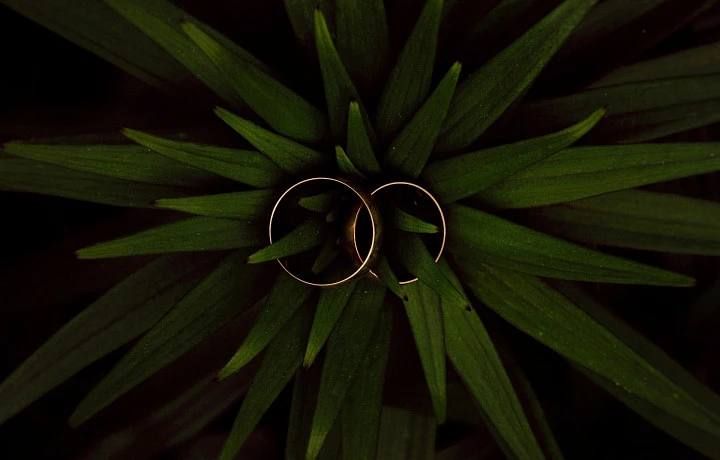 ����� �������� � ���� �������������� ���� � �������, � ���, ��������, �������� ������������?