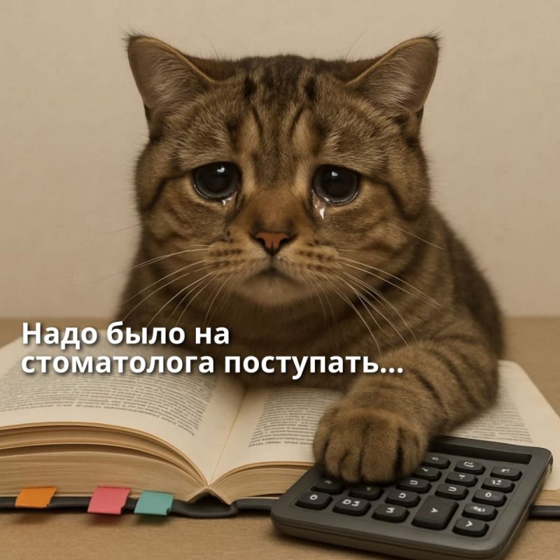 ����� ������� � ����� ������ ������������ �������� �������������