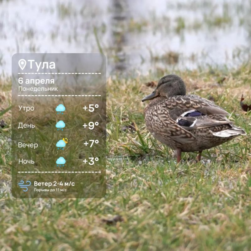 ������ ����. ����������� � ���� �������, ������� ���� ������ ������� ������������ ���� ��������