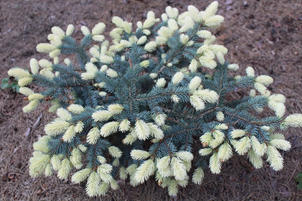 ��� ������� �������� ��� ������ ����: ��� ������� � 2025 ����?