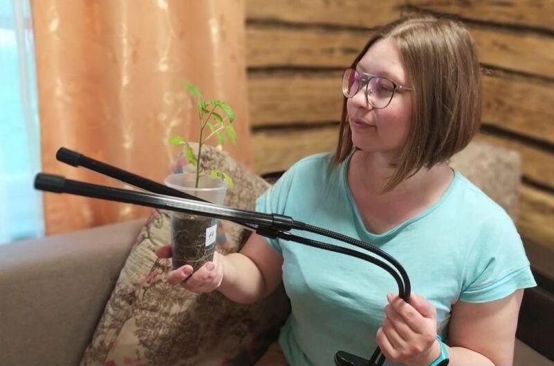 ��� ������� ����� ��� ����-������� �� �������: ���� � ������������