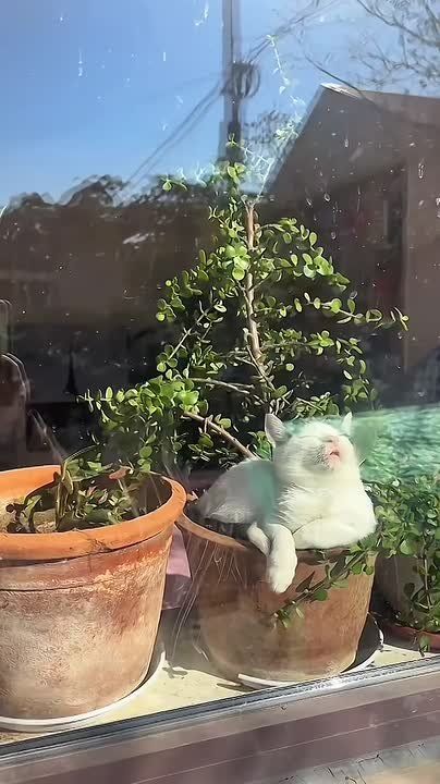 �������� ���� � ��������� ��������� �����