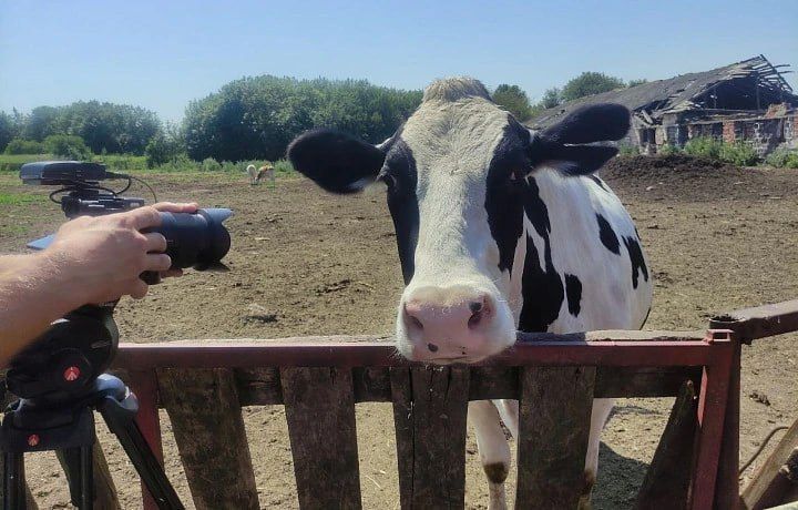 �������� ������� ��������� ������������ ���� �� 15,7% � 2025 ����