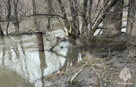 Из Упы в Пролетарском округе Тулы достали тело 52-летнего мужчины