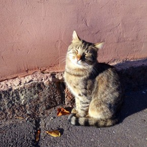 Синоптик Шувалов дал тулякам прогноз на Пасху