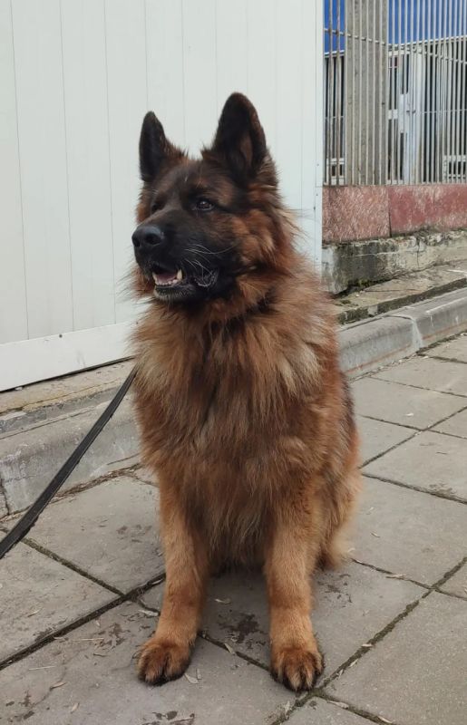 ����� ������ ����� ���, � �� ���� ������ �������