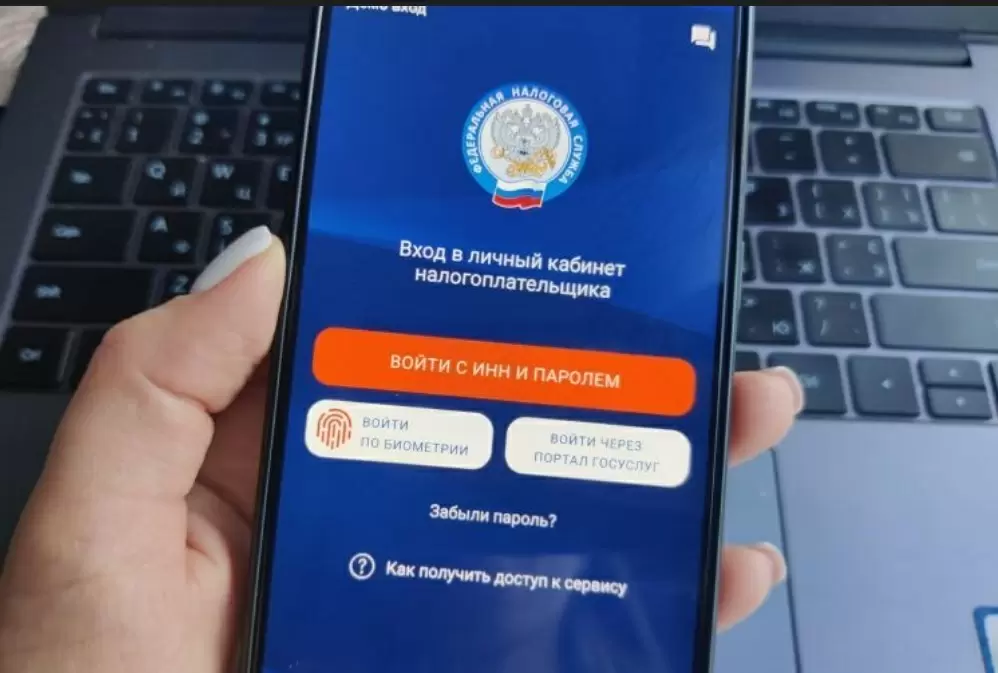 Разоблачение масштабной схемы уклонения от налогов в России