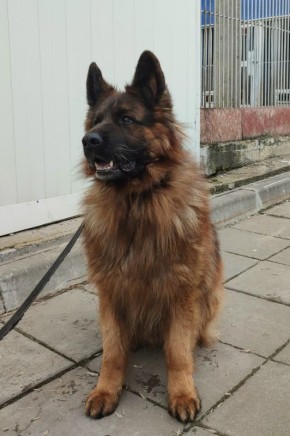 ��������� ������ �� ������ ���� � ����� � ������� �� �������� ���� ������ �������