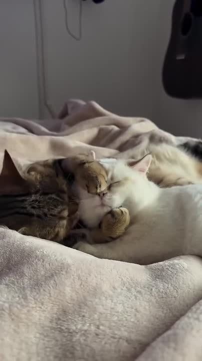 ������ ���. ������ ����, ���� ���24 | �������� ������� | �� � ���