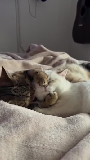 ������ ���. ������ ����, ���� ���24 | �������� ������� | �� � ���