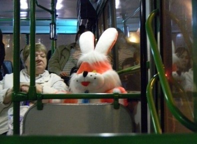 ��� ����� ������������ �� ������ �� ������ � ������������ ����������?