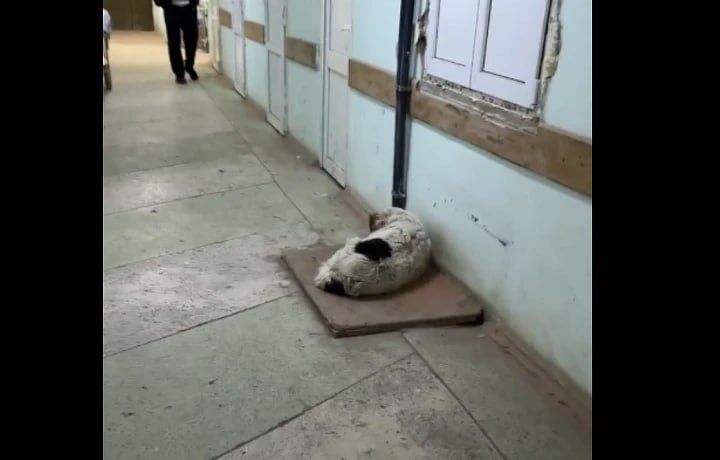 � ������������� �������� �������� ��-�� ������ � �������� �����