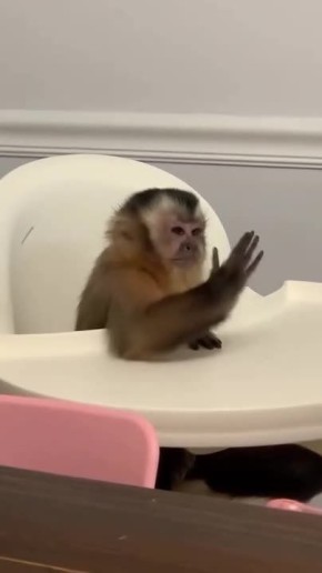 �� �����! ��� ��� �������?