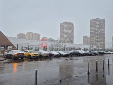 ��� �������� � ���� � ����