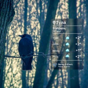 ������ ����. ������� ������� ������ ���� � ������