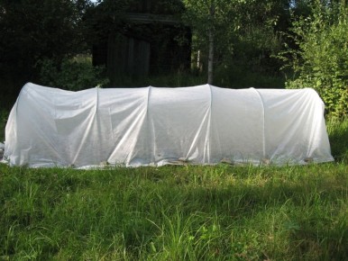 Как создать идеальный парник своими руками: опыт парника-ветерана