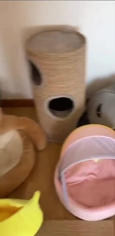 ���-���� ������� ������� ����� ���� �� ��������