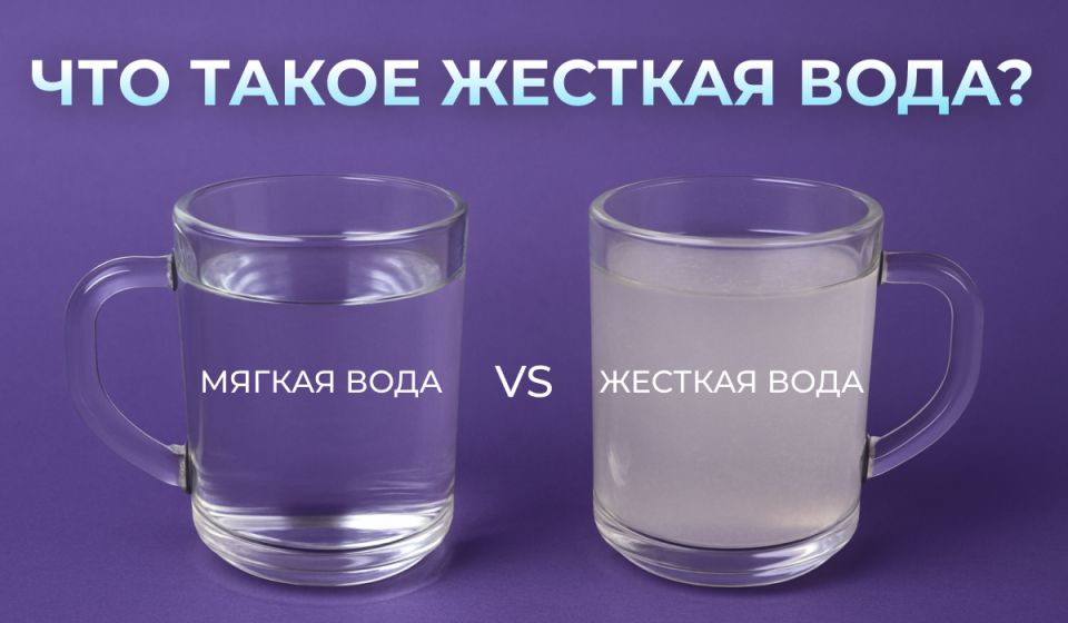 Ƹ����� ����: ��� ��� ������ � ��� ��� ������ �� ������������ �����