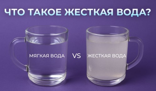 Ƹ����� ����: ��� ��� ������ � ��� ��� ������ �� ������������ �����