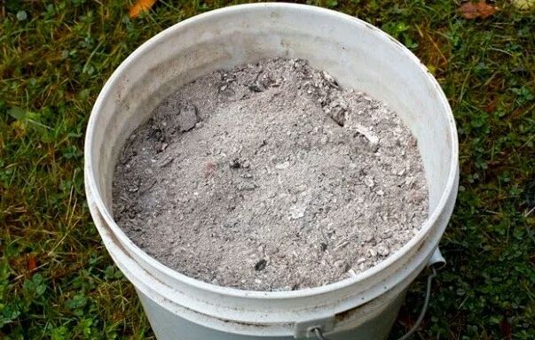 ���� � ����: ��� ������� �������, � ������� ����� �����