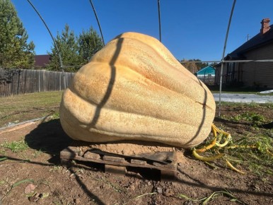 ������ ����� 397 �����������: ���������� ����� � ������ ������� ���������� ��������