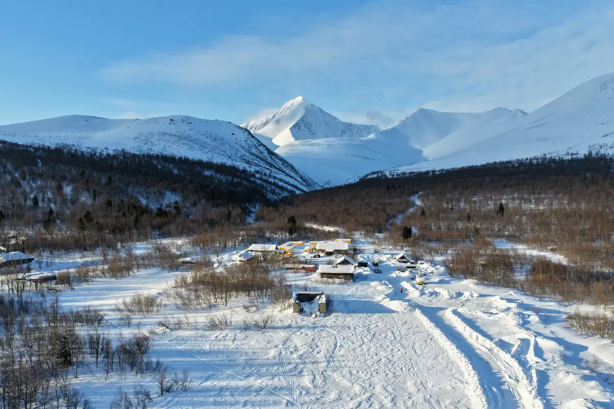 Приготовление идеального билтонга для походов: шаги к успеху