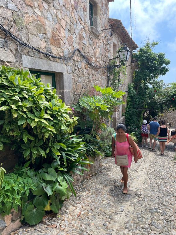 ������ ������� ��������� �����: ��� �������� ���� � ����