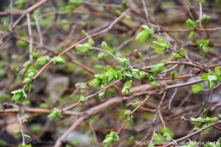 ��� ��������� ��������� �� ���������� ������: ������ ��� ��������� ������