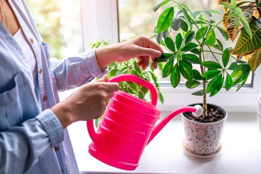 ��� �������� ��������� ��������: ������ �������� ������