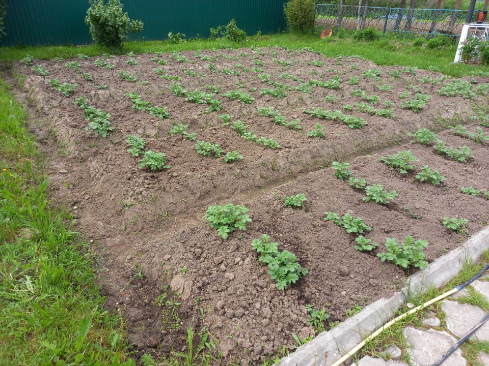 ��� ������� ������� � �������: 10 ���� � ������ �� ������� ������