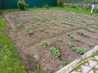 Как бабушка готовит в деревне: 10 блюд в неделю за смешные деньги