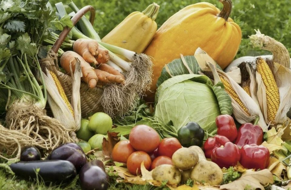 ����� ����� ������: ������� � ������� �� ������ ��������