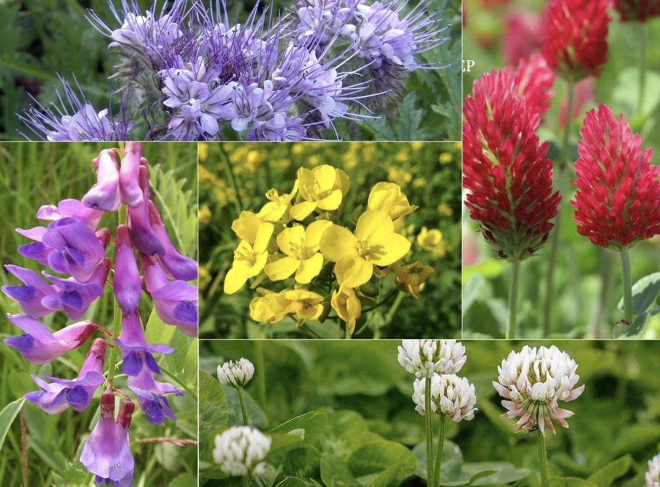 ��� �������� ������� ��������� �����: ������� ��������� �������