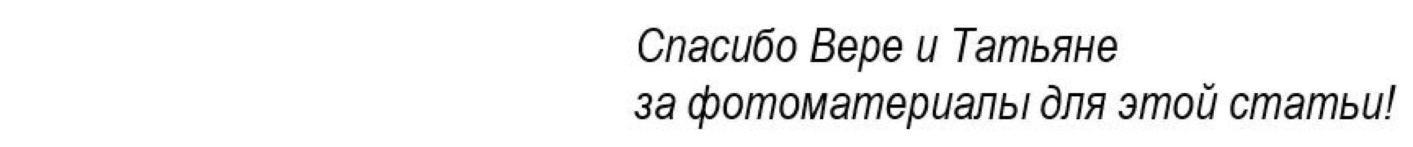 Почему форзиция не радует цветением: основные причины и возможные решения