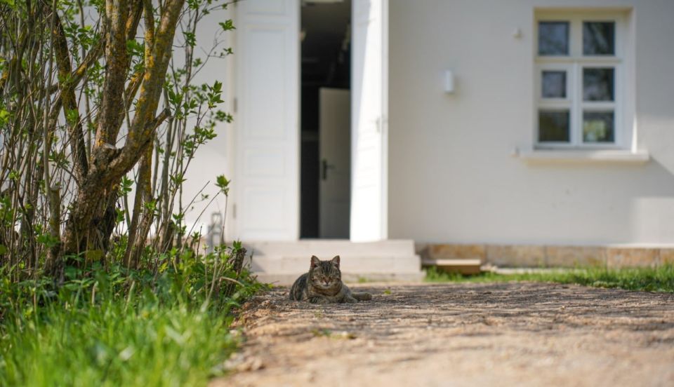 ���������� ����� ������������ � ����������� ������