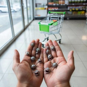 Зачем мыть руки после посещения магазина: важные факты