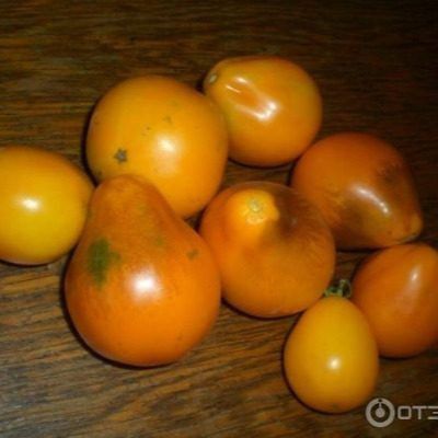 ������ ������ "�������": � ��� ������ �� ������������?