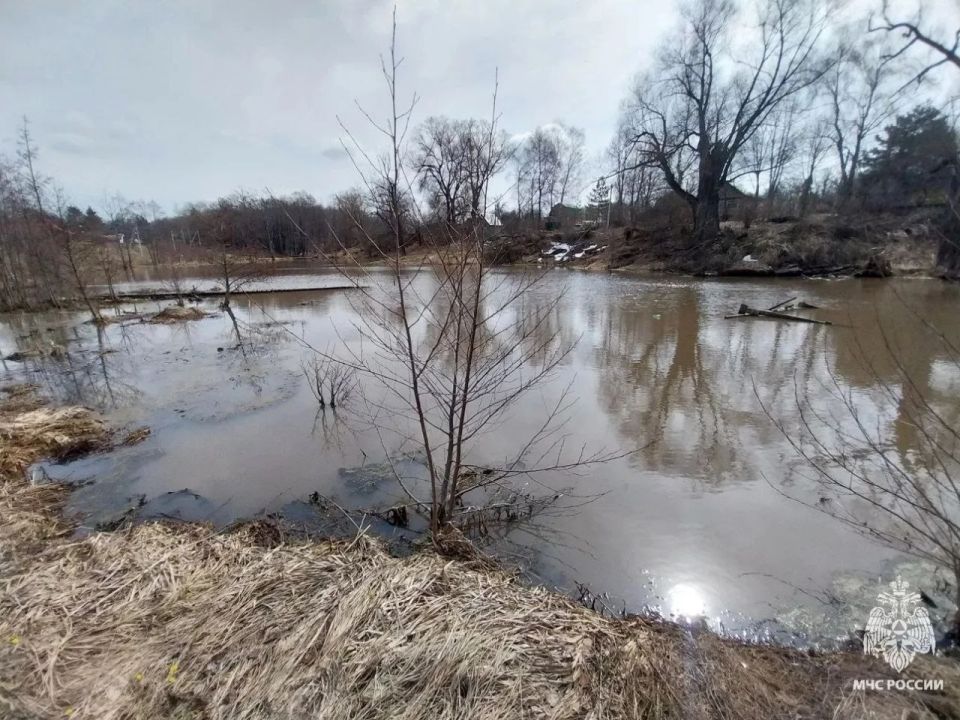 � �������� ������ �������� �� ���� - ������� �������