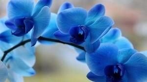 ������� ����� � ������� �������: ���� � ����������