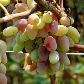 �������� ������: ������� ��������� ����� � ����������� �����