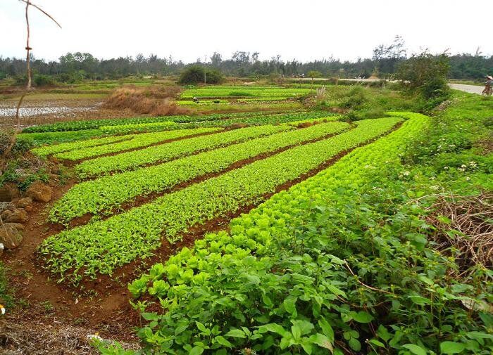 ���������� ������� � ���: �������� ������ ��� ���������